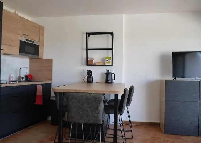 Sol-Y-Days Flamant, Superbe Appartement En Rez De Jardin Avec Grande Terrasse Et Jardinet, Face A La Mer