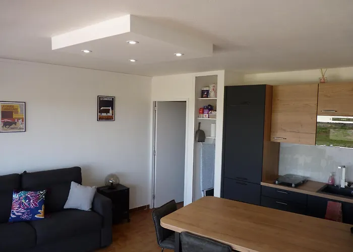 Sol-Y-Days Flamant, Superbe Appartement En Rez De Jardin Avec Grande Terrasse Et Jardinet, Face A La Mer